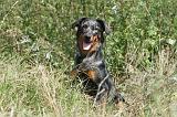 BEAUCERON 109